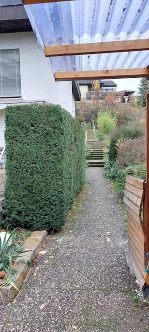 Zum Wohlfuehlen Beruflich Und Privat * Zell am Main
